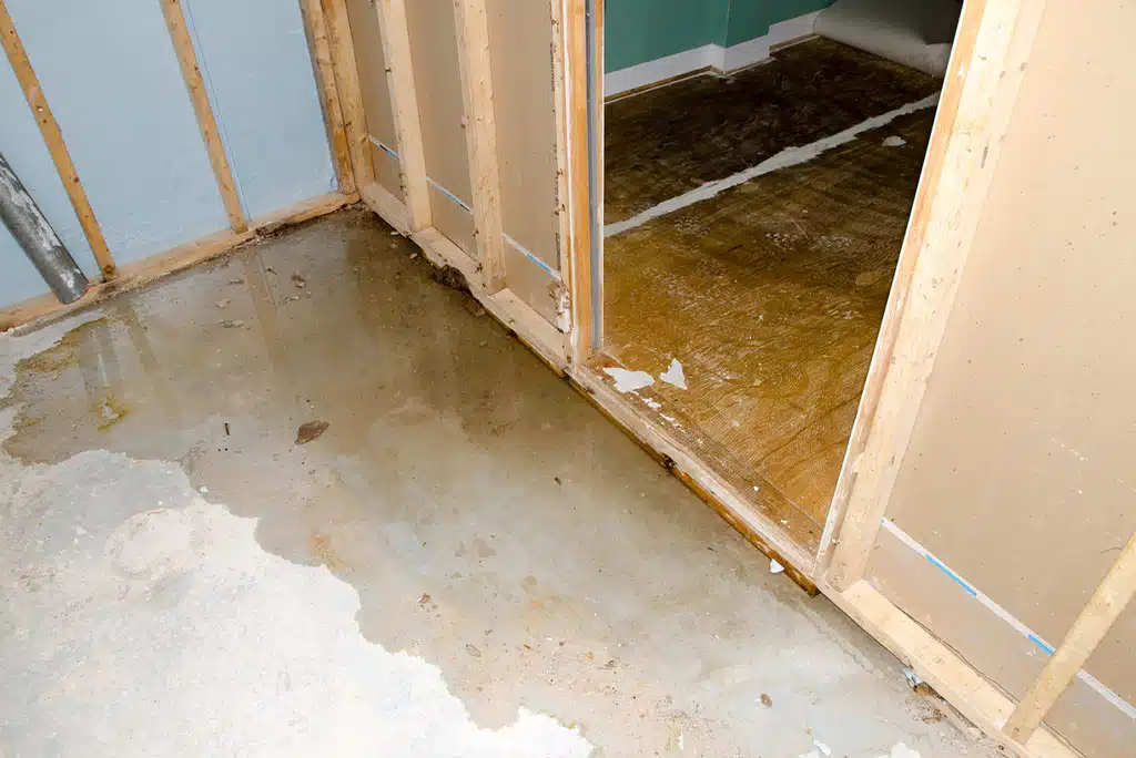 Water on a basement cement floor, coming in where the wall meets the floor.